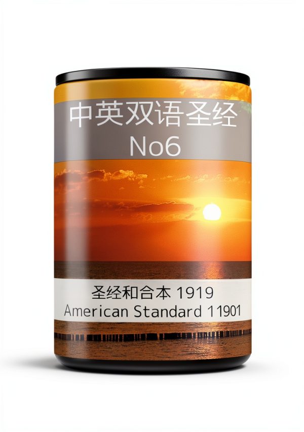 Chinese Bible Kindle eBook by TruthBeTold Ministry with 13301 Pages-0